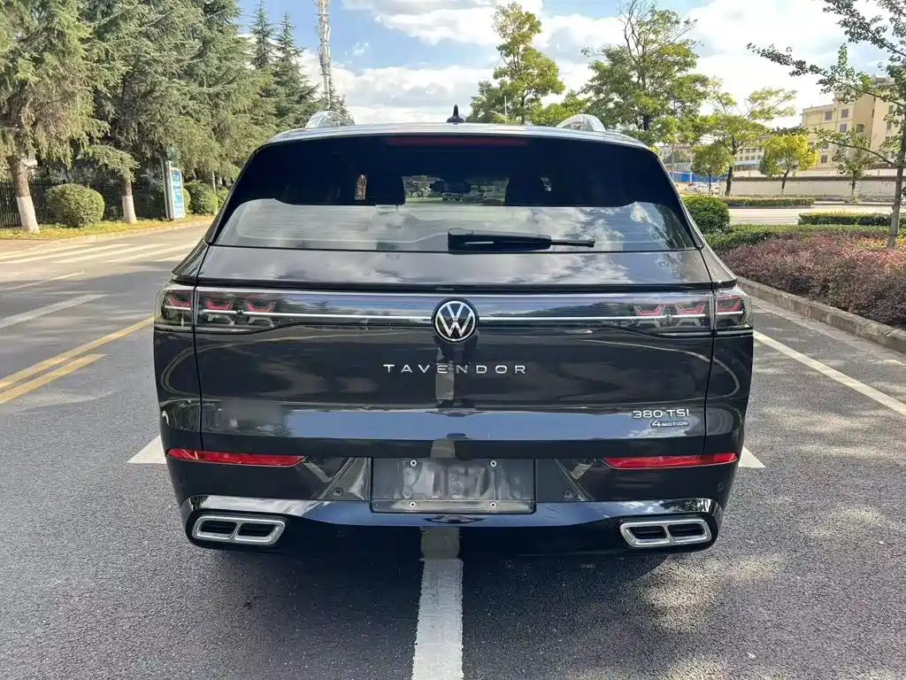 Volkswagen Tavendor — миниатюра 11