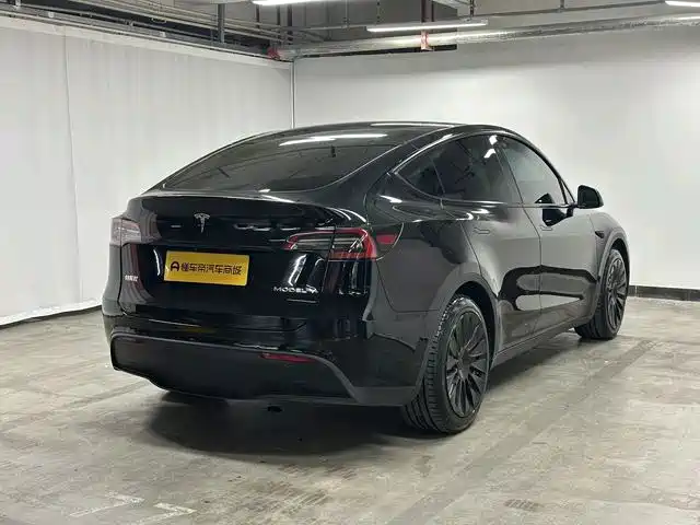 Tesla Model Y — миниатюра 5