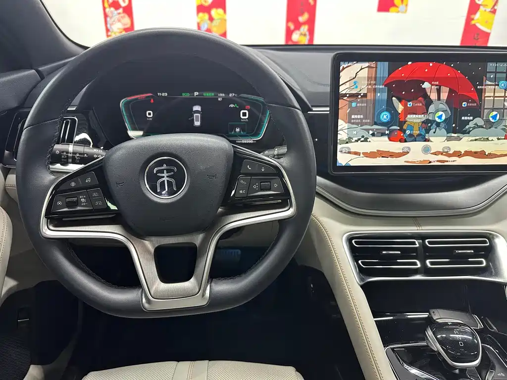 BYD PLUS New Energy — миниатюра 11