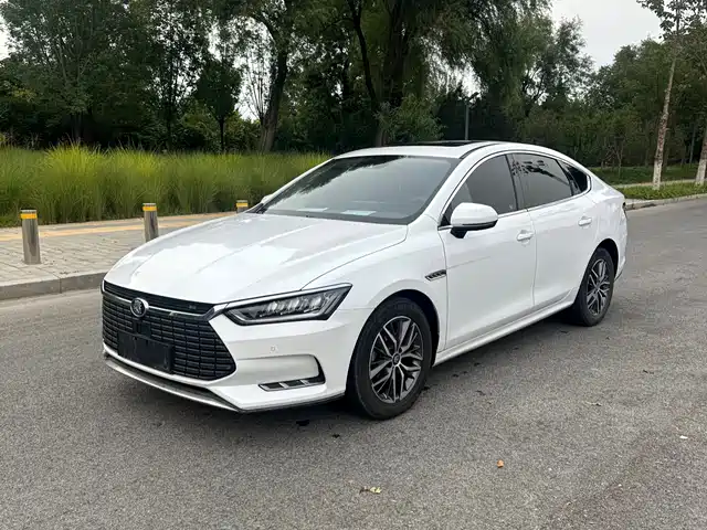BYD QINHUANGDAO NEW ENERGY 2019