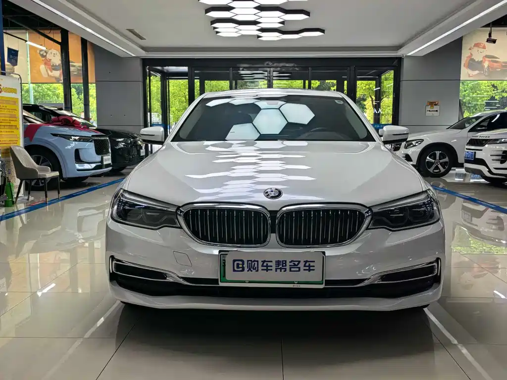 BMW 5 Series New Energy — миниатюра 2