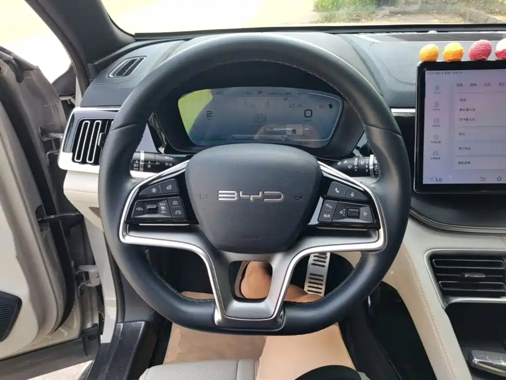 BYD PLUS New Energy — миниатюра 11