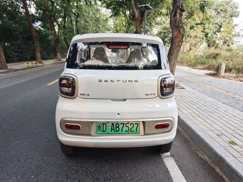 BESTUNE PENTIUM PONY