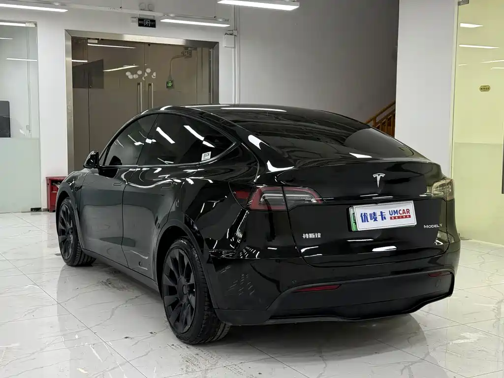 Tesla Model Y — миниатюра 4