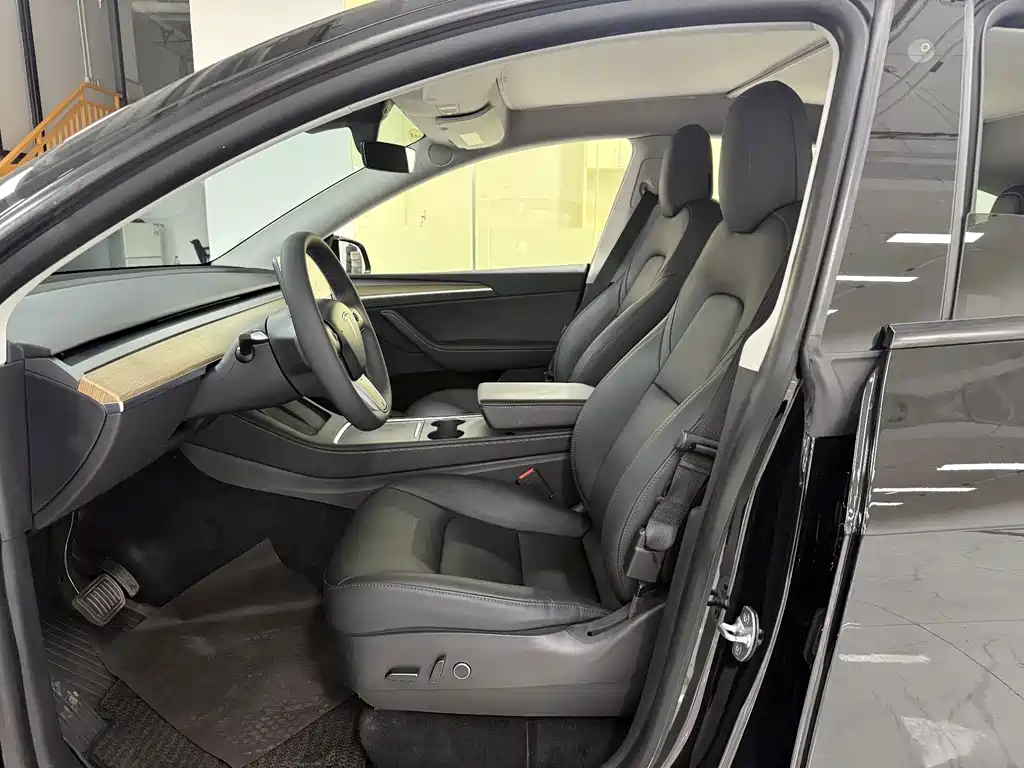Tesla Model Y — миниатюра 10