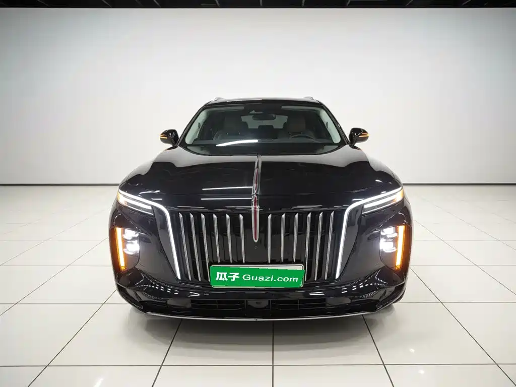Hongqi E-HS9 2022 660km мест