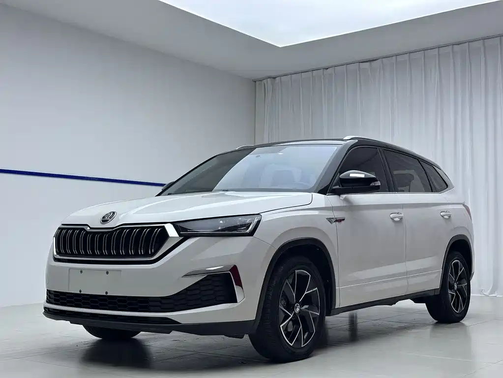 Купить Skoda Kamiq