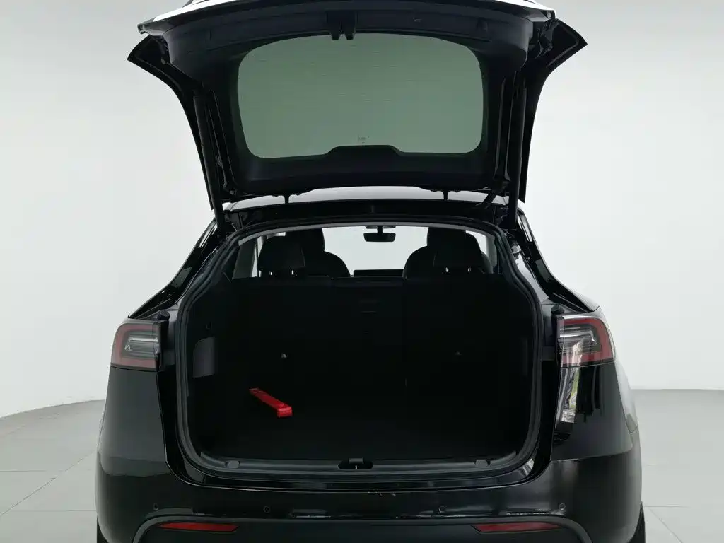 Tesla Model Y — миниатюра 16