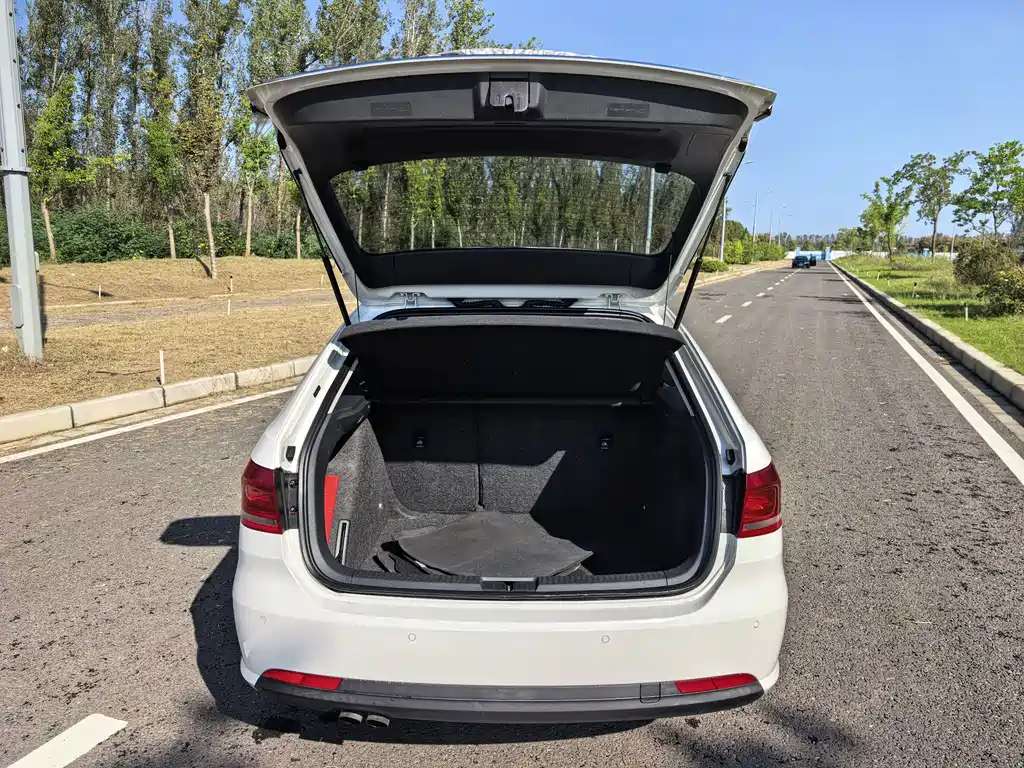 Volkswagen Gran Lavida — миниатюра 18