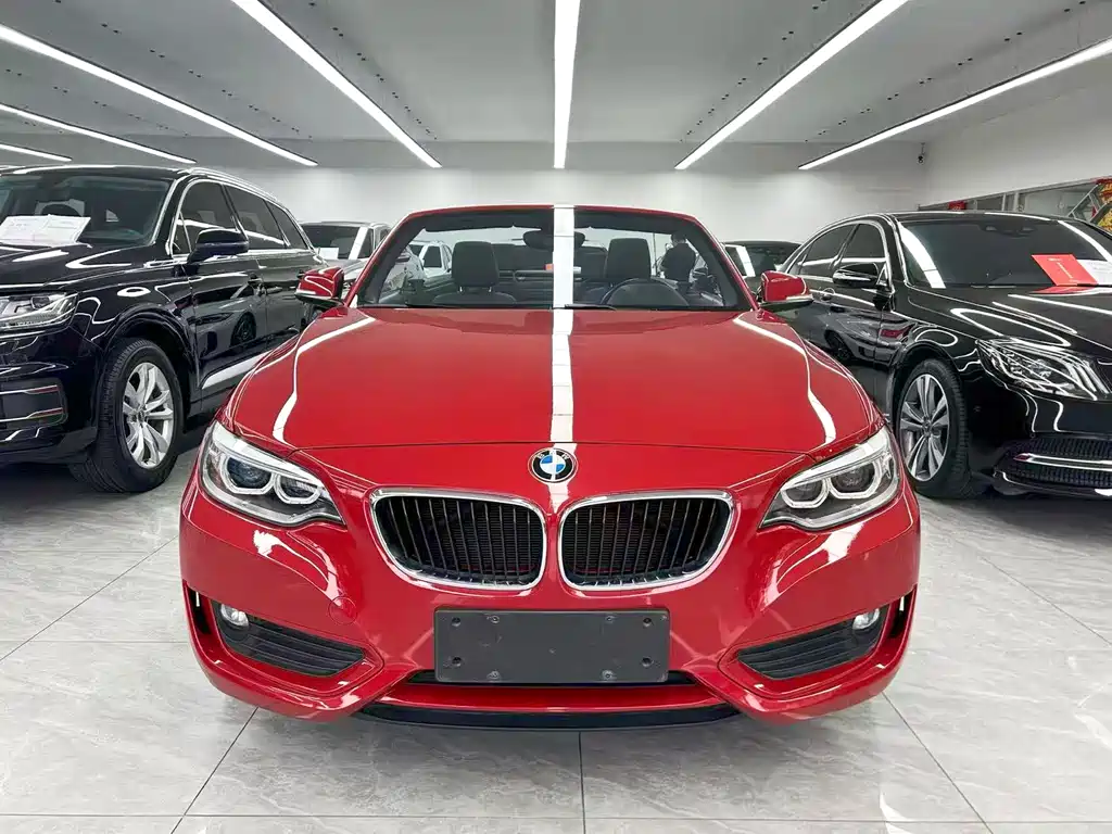 BMW 2 Series (Import) — миниатюра 2