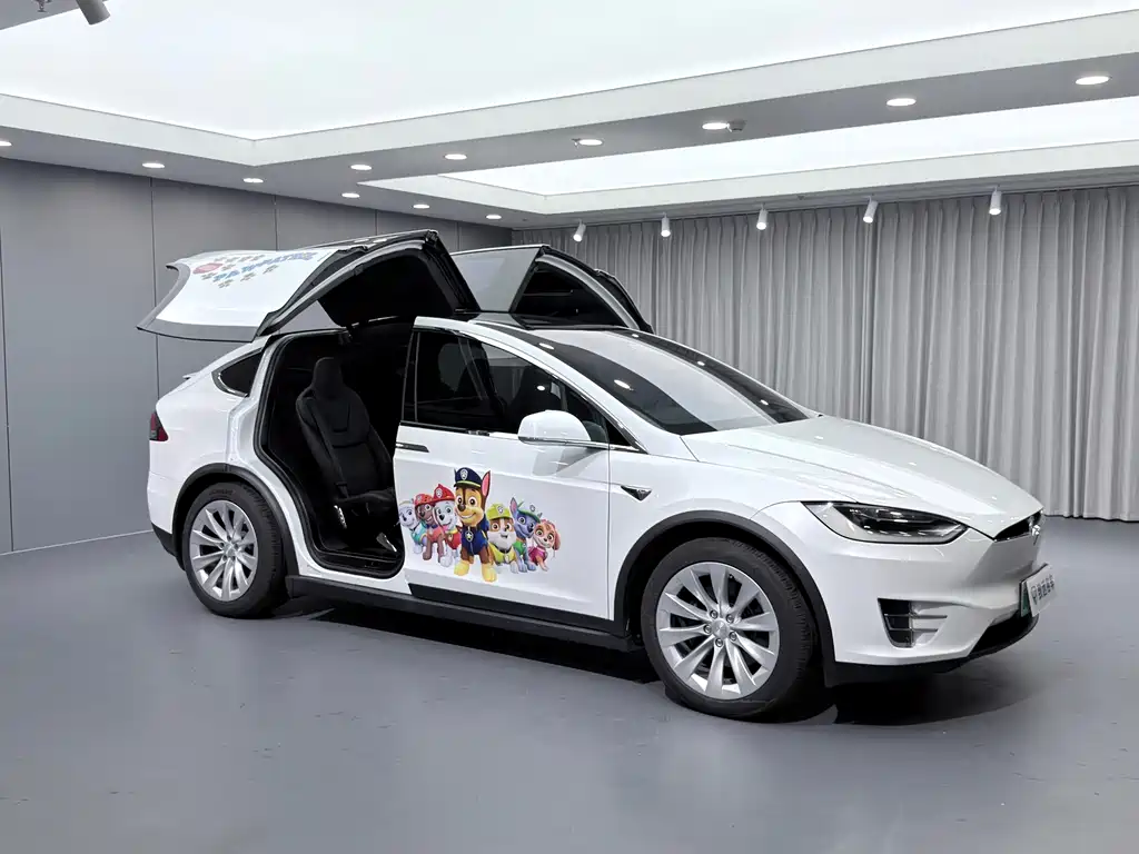 Tesla Model X — миниатюра 29