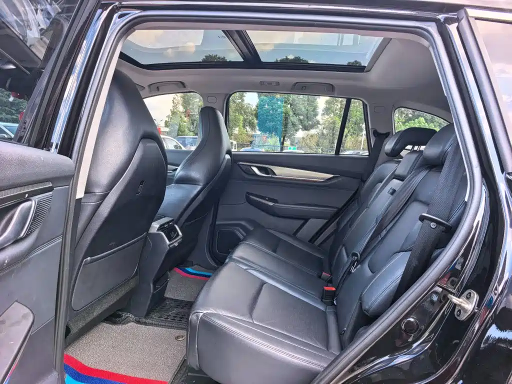 WM Motor EX6 — миниатюра 10