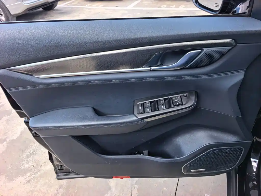 WM Motor EX6 — миниатюра 8