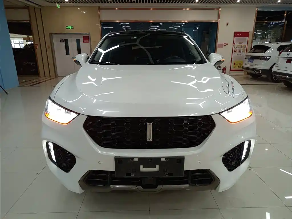 WEI PAI WEI BRAND VV5