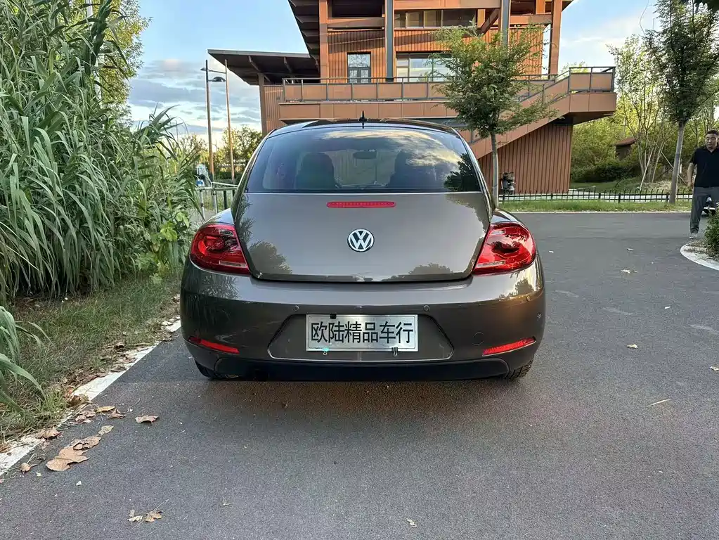 Volkswagen Beetle — миниатюра 12