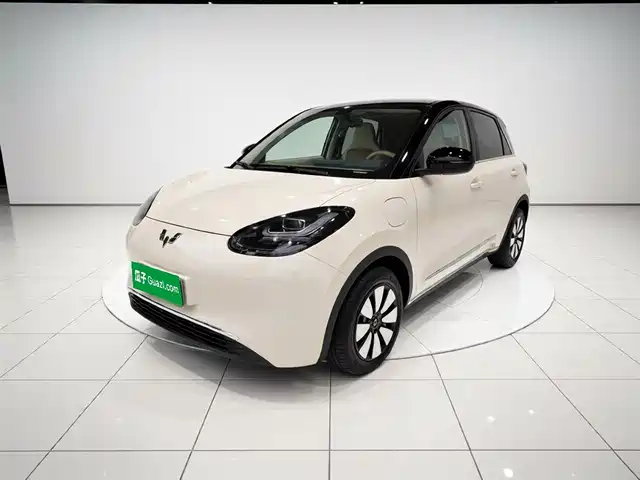2025 Wuling Motors Binguo