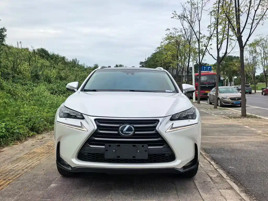 Lexus NX — миниатюра 2
