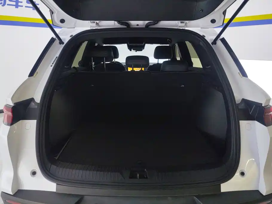 BYD Pro New Energy — миниатюра 4