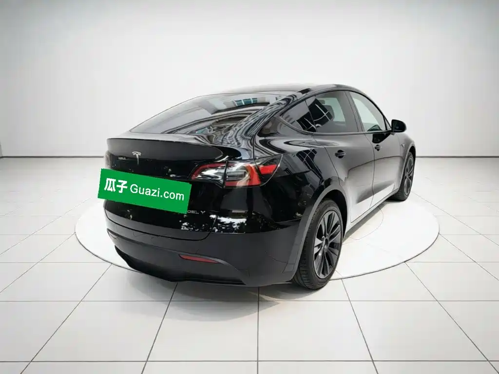 Tesla Model Y — миниатюра 6