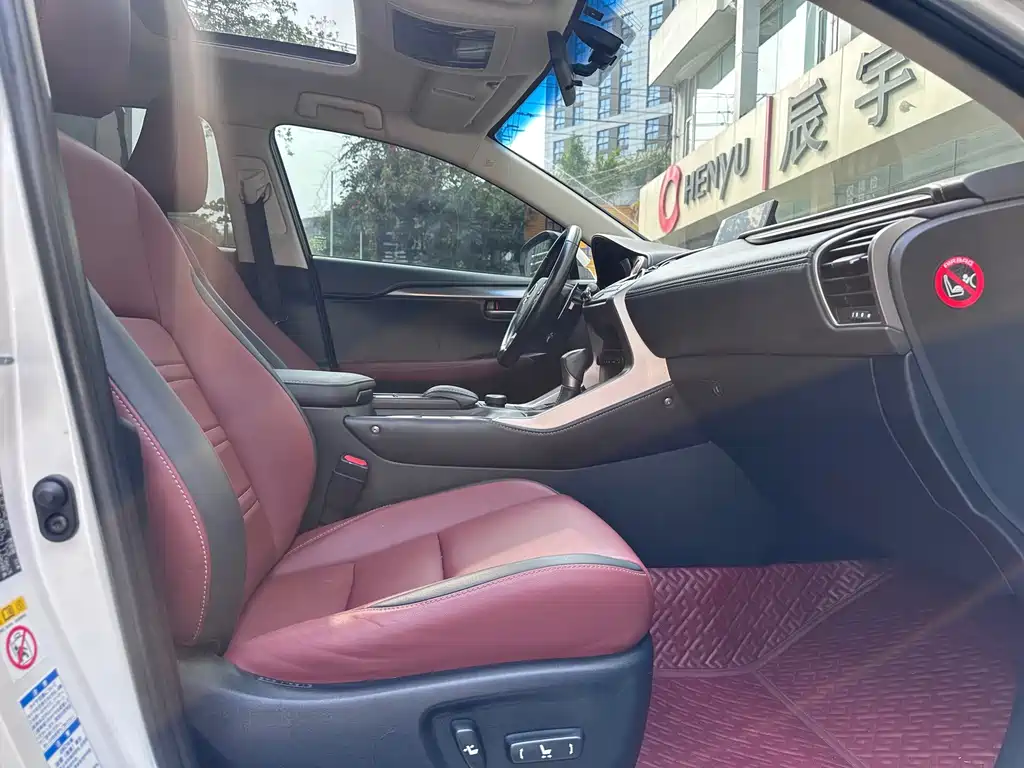 Lexus NX — миниатюра 11