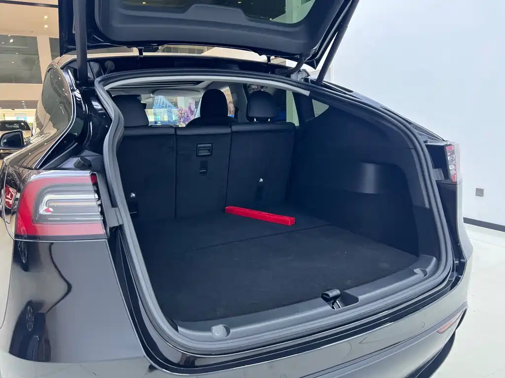 Tesla Model Y — миниатюра 10