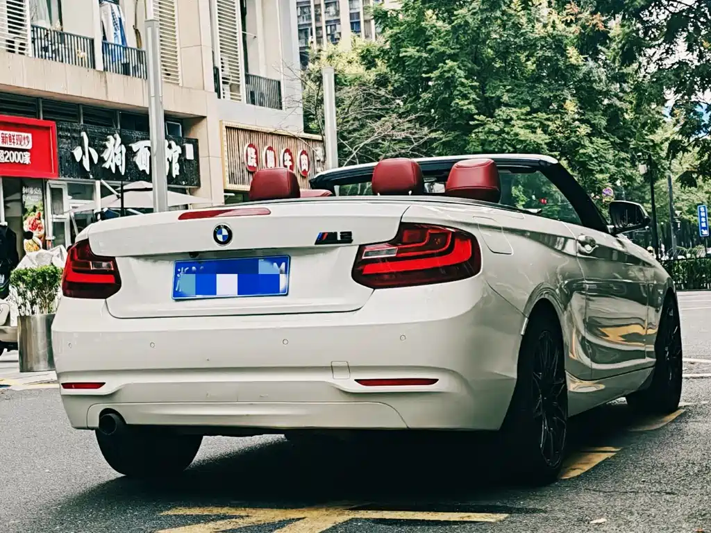 BMW 2 Series (Import) — миниатюра 4