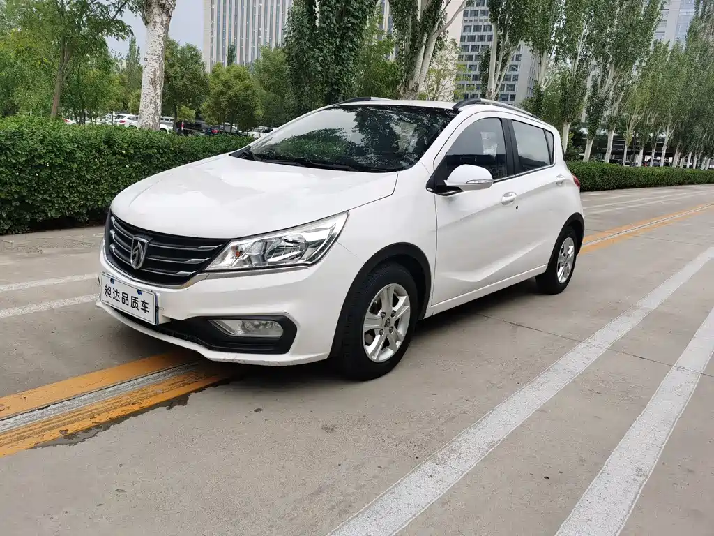 BAOJUN 310