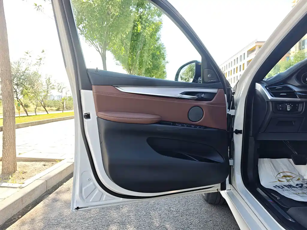 BMW X6 — миниатюра 8
