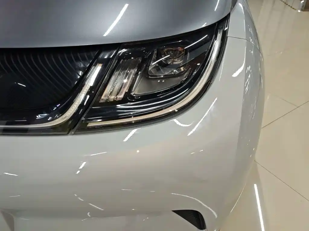 BYD Dolphin — миниатюра 24