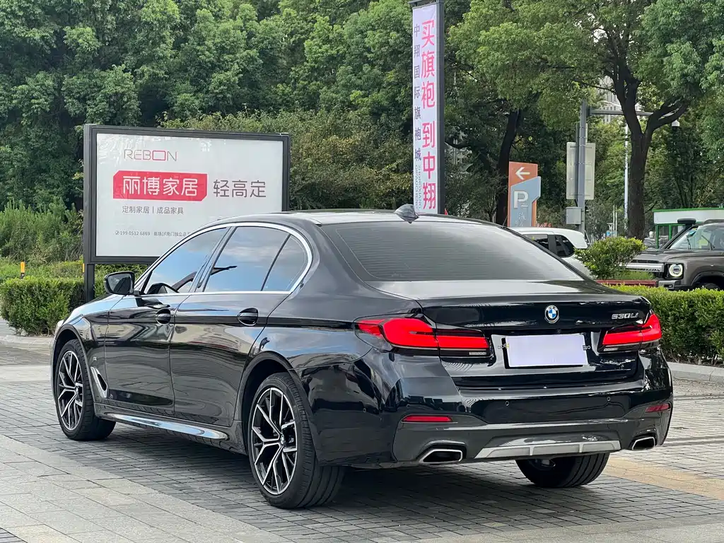 BMW 5 Series — миниатюра 3
