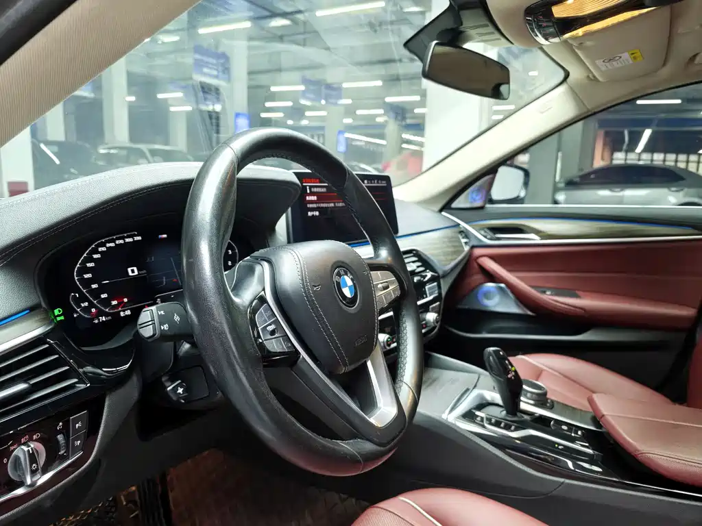 BMW 5 Series 5 2022 530Li Lead Luxury