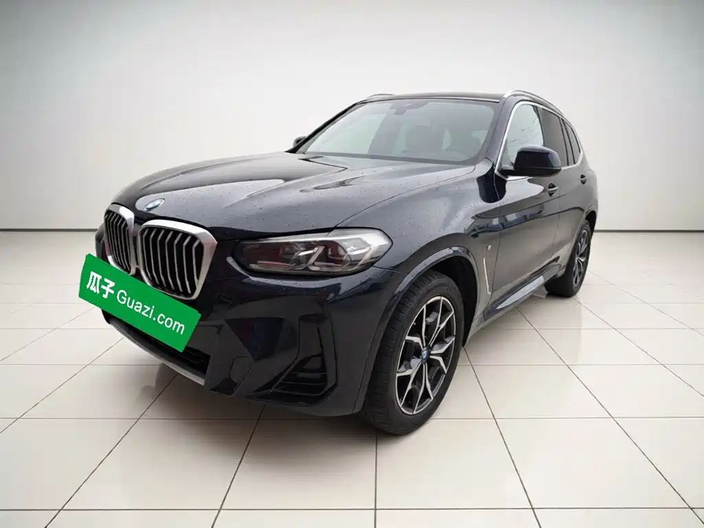 BMW X3 — миниатюра 2