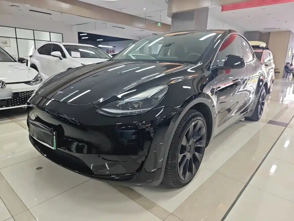 Tesla Model Y — миниатюра 2