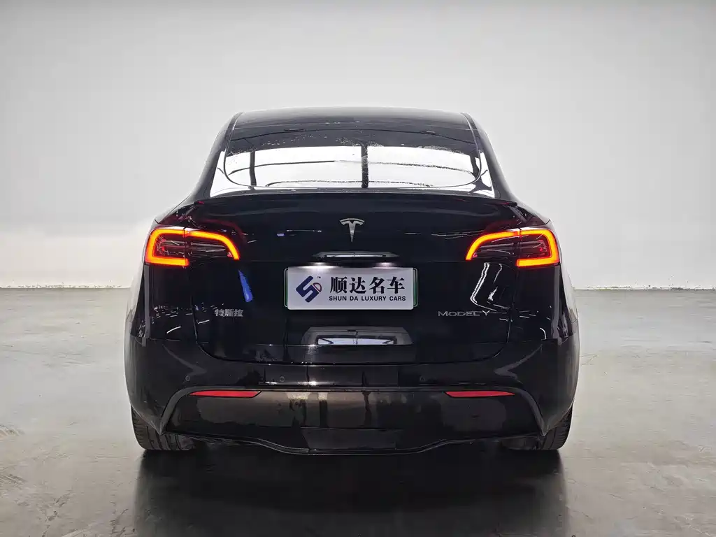 Tesla Model Y — миниатюра 3