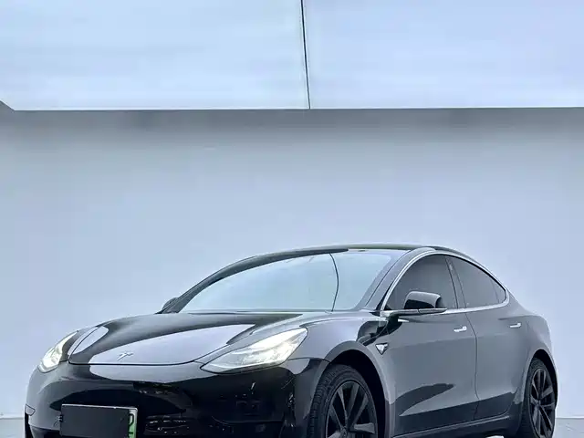 TESLA MODEL 3 2021