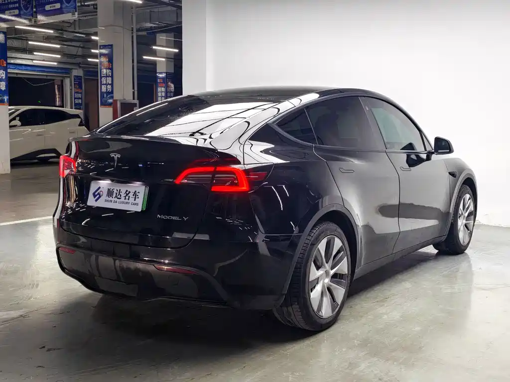 Tesla Model Y — миниатюра 11