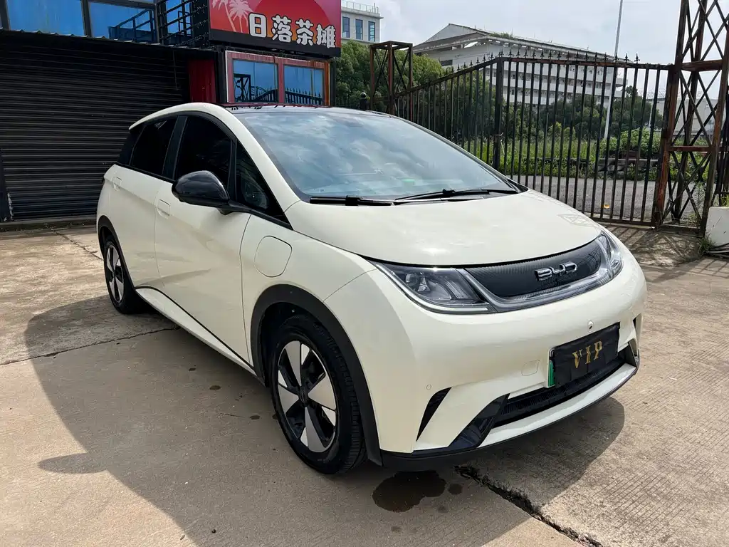 BYD Dolphin 2023 420km Fashion