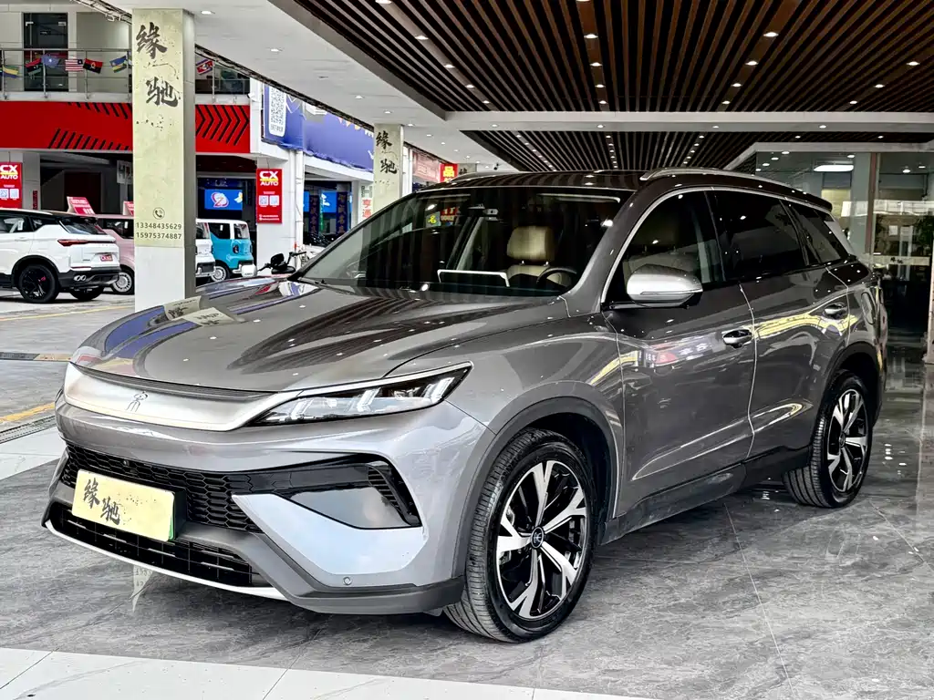 BYD Pro New Energy