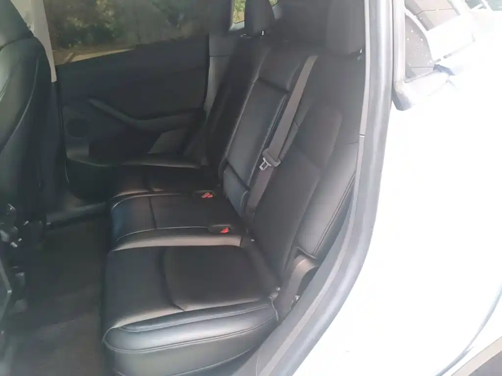 Tesla Model Y — миниатюра 13
