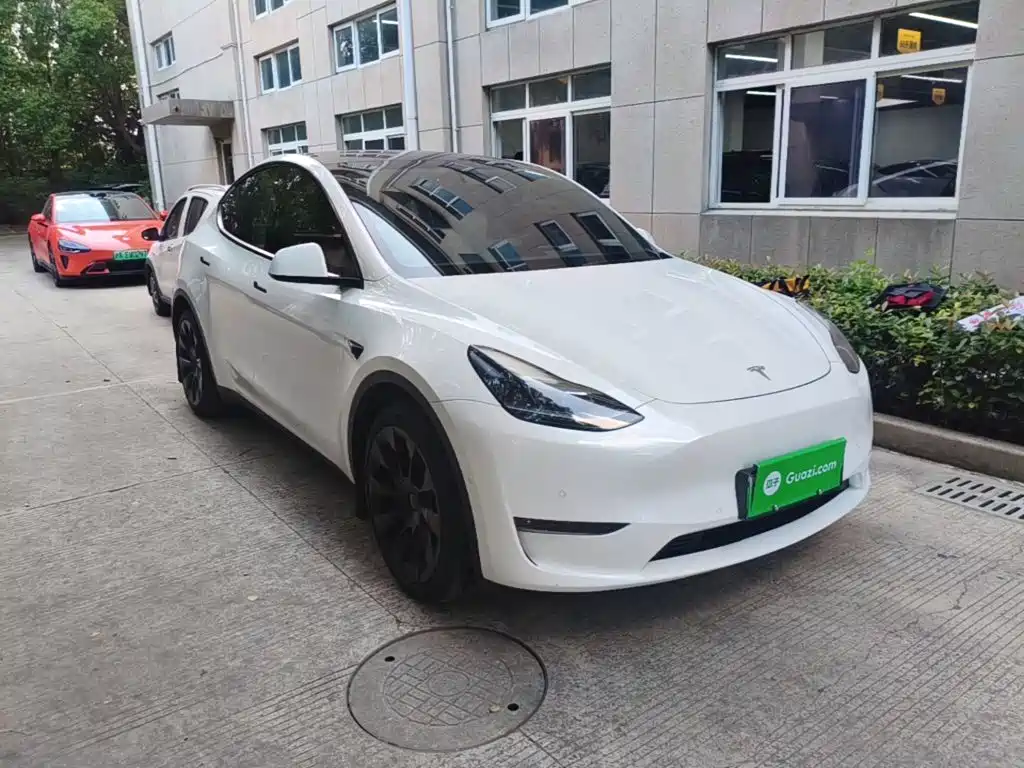 Tesla Model Y — миниатюра 22