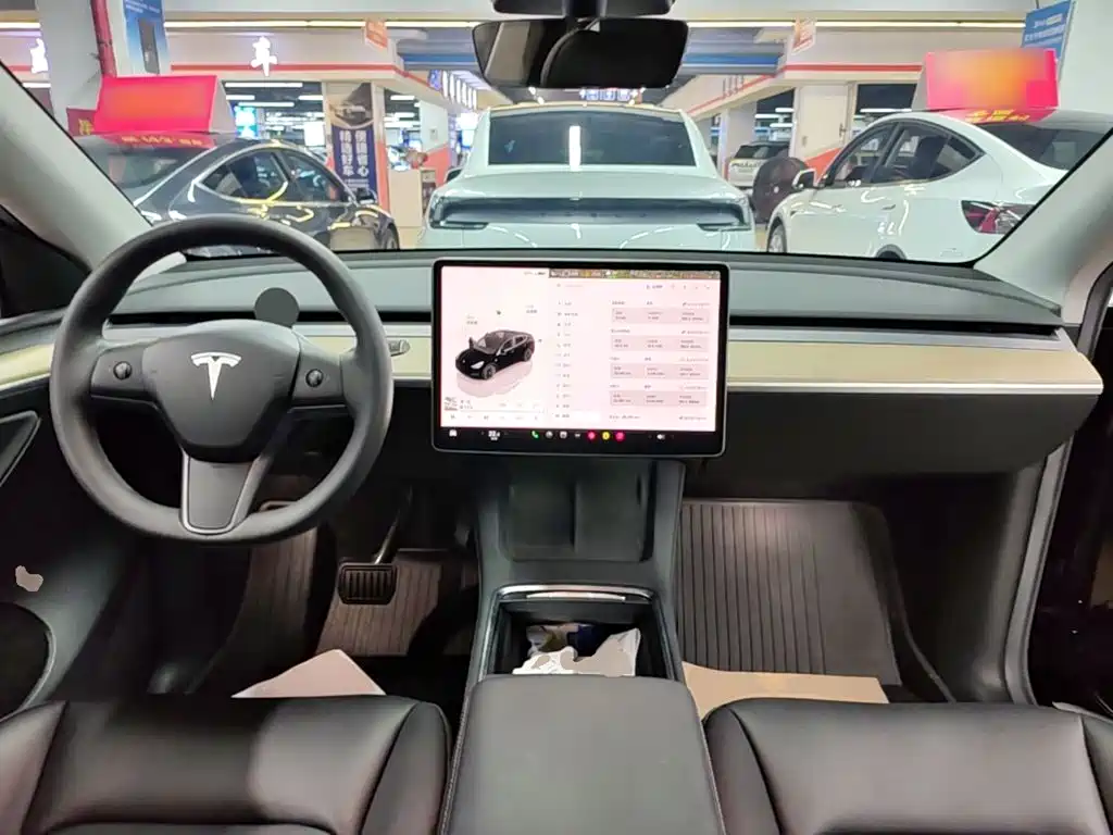 Tesla Model Y — миниатюра 10