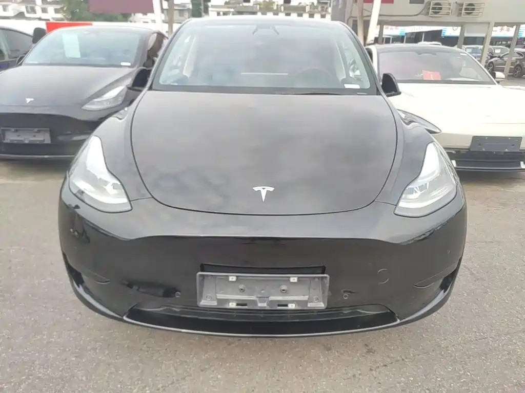 Tesla Model Y — миниатюра 3