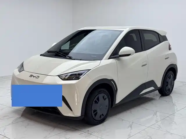 2024 BYD Seagull