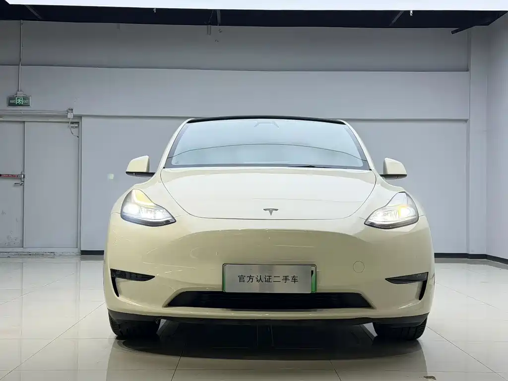 Tesla Model Y — миниатюра 5