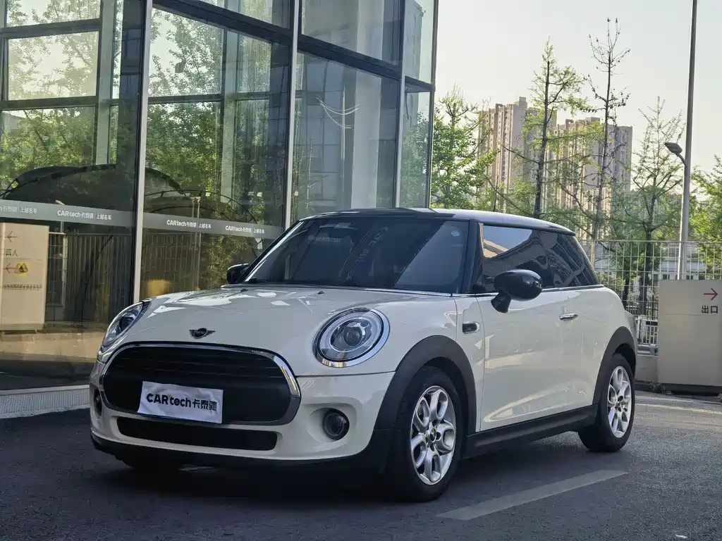 Mini Mini 2020