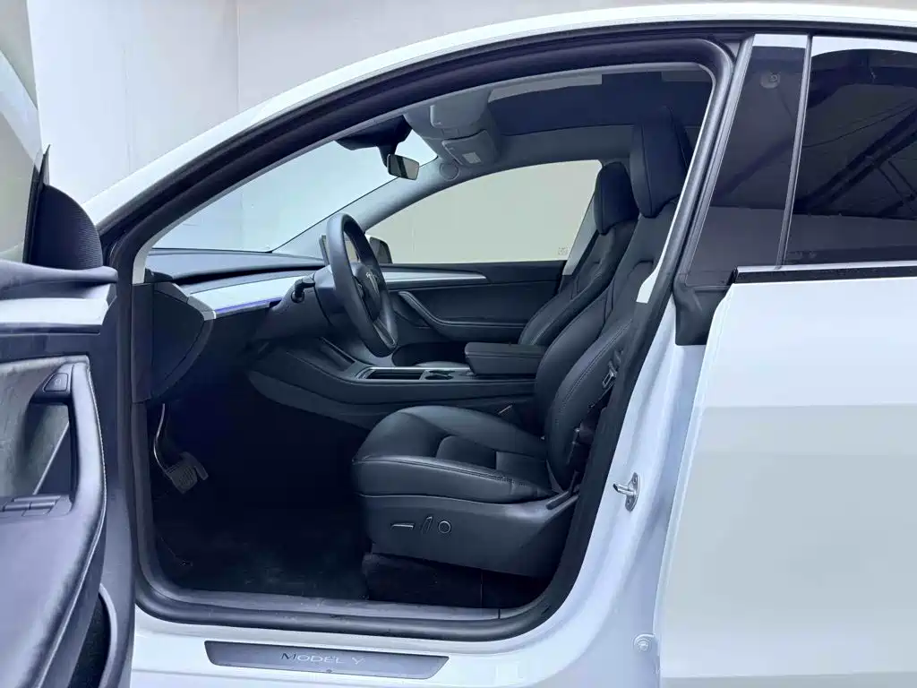 Tesla Model Y — миниатюра 15