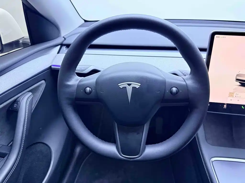 Tesla Model Y — миниатюра 11