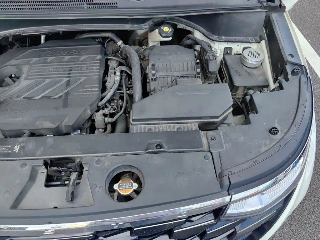 Hyundai Custo — миниатюра 21