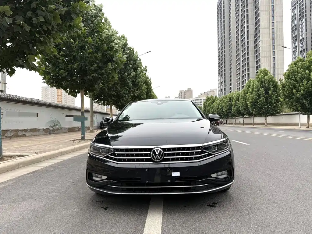 Volkswagen Magotan 2020 380TSI DSG Luxury