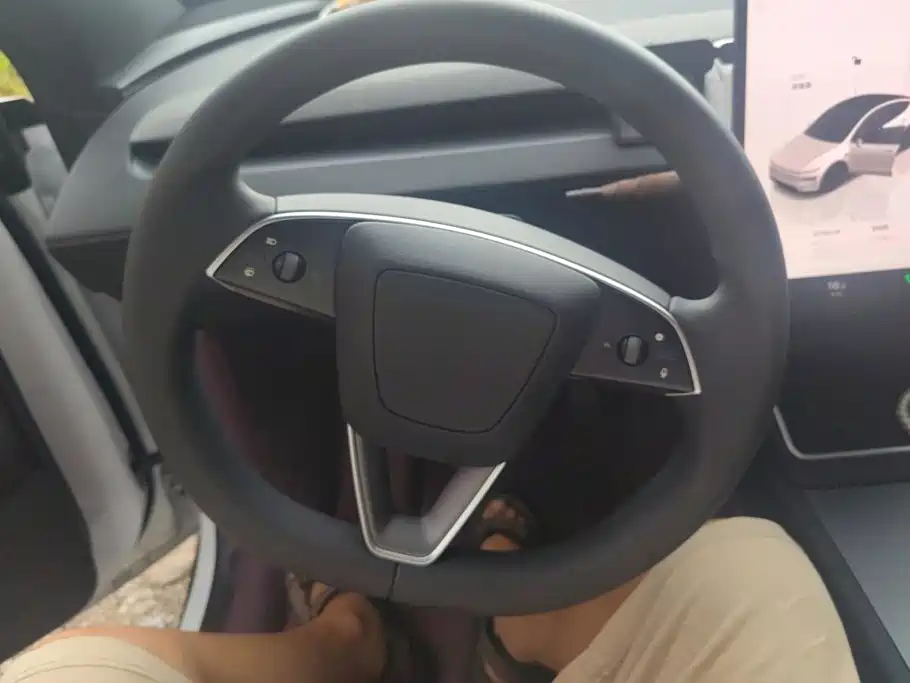 Tesla Model Y — миниатюра 15